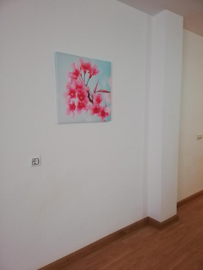Apartamento En Primera Linea De Vera Playa Naturista! 外观 照片