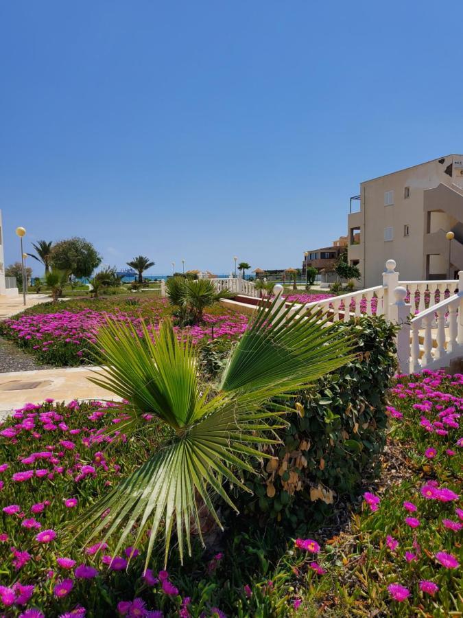 Apartamento En Primera Linea De Vera Playa Naturista! 外观 照片